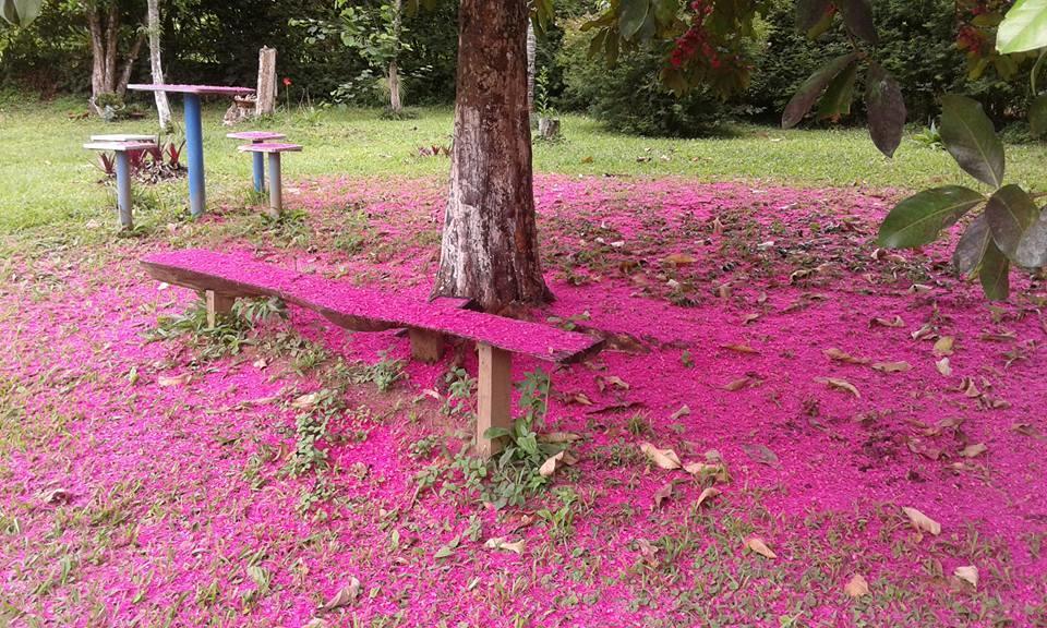 Pouso Jambo Rosa Hotel วาเลนซา ภายนอก รูปภาพ